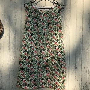 Unique Frog Dissection Dress 🐸